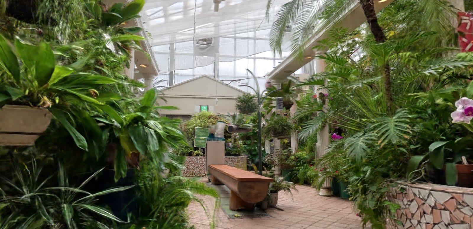 YK360の作例:植物園の温室。季節ごとの姿を記録して、来園前の予習にも使える