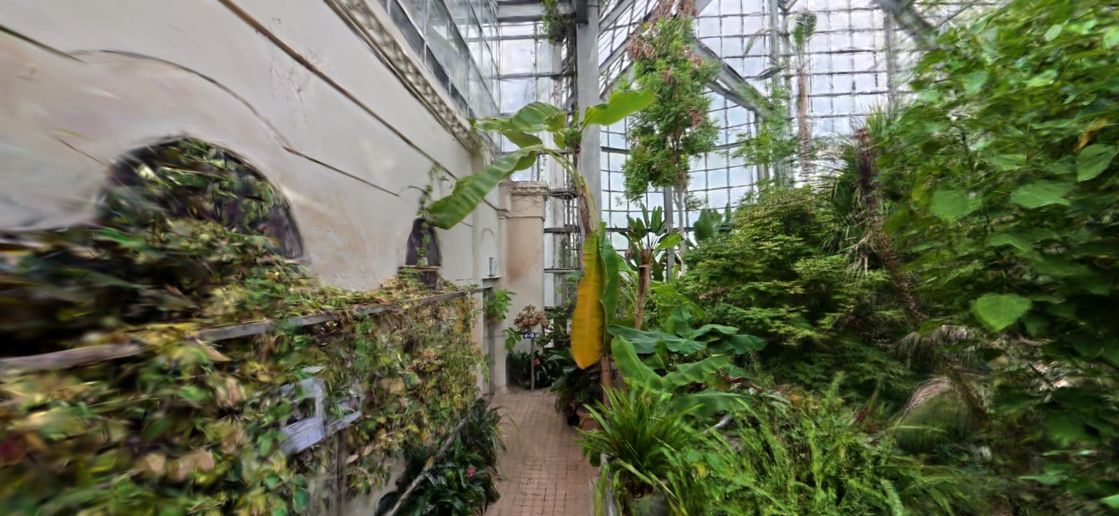 熱帯植物の温室。背の高い植物に囲まれた園路を、視点ごと進んでいける