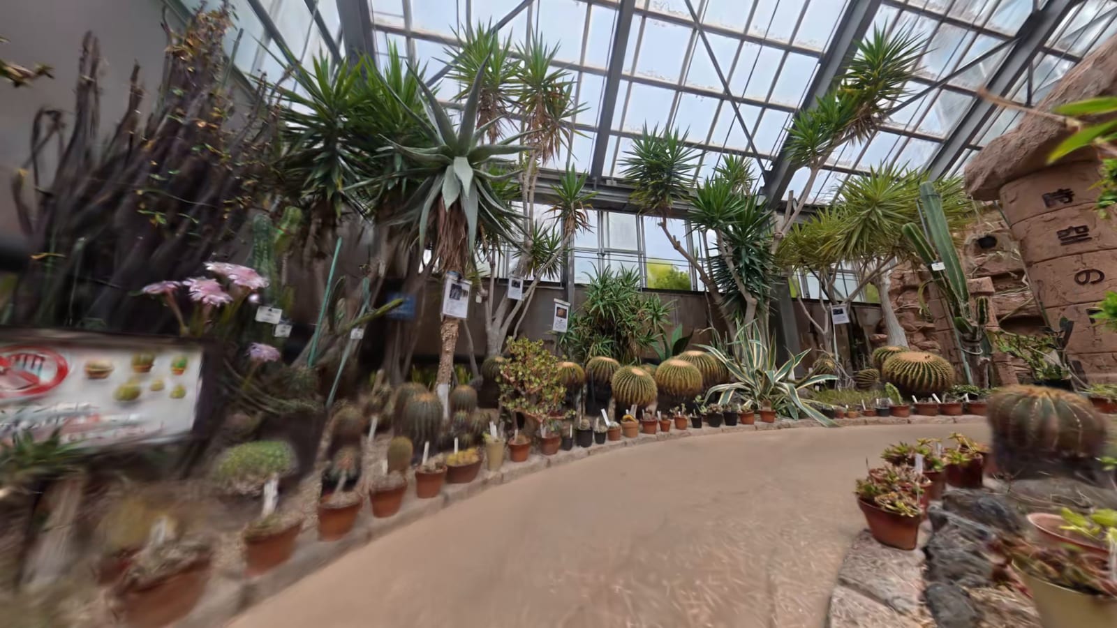 Spirula Studio で3DGSを作る:360°動画をそのまま入れて、1本のアプリで仕上げる